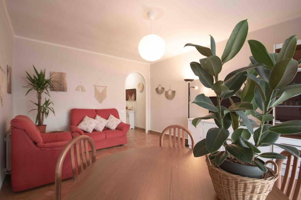 Lc Apartaments Av Del Mar Кастельон-де-ла-Плана Экстерьер фото